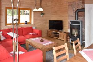 ein Wohnzimmer mit einem roten Sofa und einem Kamin in der Unterkunft Erzgebirgsholzhaus am Lugstein in Kurort Altenberg
