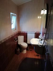 トロヤンにあるGuest House Bojanaのバスルーム(トイレ、洗面台付)