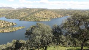Príroda v okolí hotela
