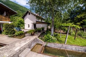 a house with a pool of water in the yard at Eko House Dobrenica in Bihać