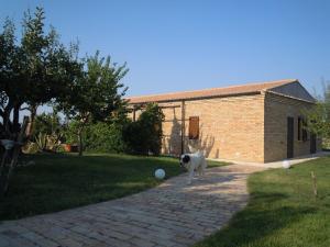 Zahrada ubytování agriturismo Piccolo Albero