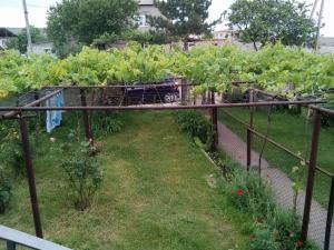Giardino di wine valley