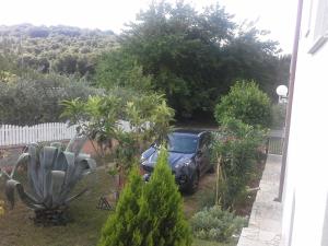 Fotografie z fotogalerie ubytování Apartments Liliana Pula v destinaci Pula