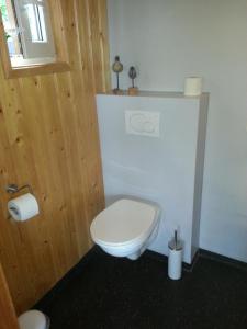 a bathroom with a white toilet in a room at Koningsheim in Colijnsplaat