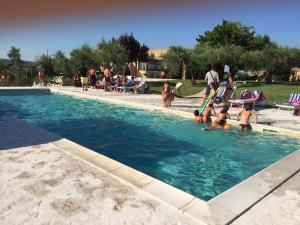 un grupo de personas jugando en una piscina en agriturismo Piccolo Albero, en Loreto Aprutino