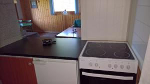 a kitchen with a stove and a counter top at Skogheim Two-Bedroom Cottage in Birkeland