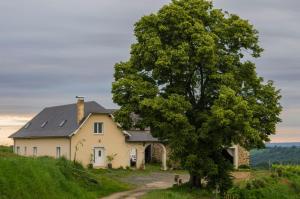 a house on a hill with a tree at Pesaulhé in Monein