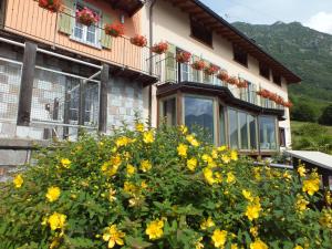 Nespecifikovaný výhled na hory nebo výhled na hory při pohledu z bed and breakfast