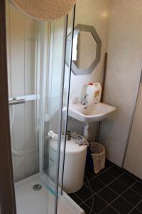 ein Bad mit einer Dusche, einem WC und einem Waschbecken in der Unterkunft Bergheim Two-Bedroom Cottage in Birkeland