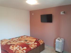 a bedroom with a bed and a flat screen tv at Cazare Balliu in Corbu