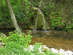 a waterfall in the middle of a pool of water at Eko House Dobrenica in Bihać