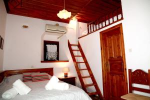 a bedroom with a bunk bed with a ladder at Archontiko Blana in Vyzitsa