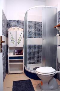 a bathroom with a shower and a toilet at MaraMare Apartments in Stara Baška