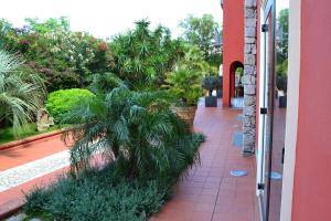 Zahrada ubytování Hotel Sa Contonera