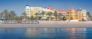 
a beach filled with lots of palm trees at Mediterraneo Bay Hotel & Resort in Roquetas de Mar
