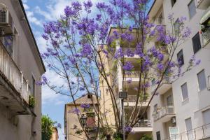 kwitnące drzewo przed budynkiem z fioletowymi kwiatami w obiekcie SorrentoVibes - Luxury Four Bedroom Home with Amazing Terraces in Sorrento w Sorrento