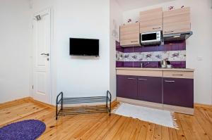 TV a/nebo společenská místnost v ubytování La Svalba Rooms & Studios