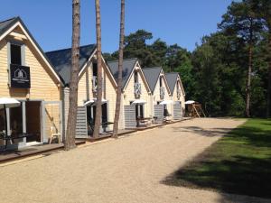 a row of cottages lined up in a row at Domki Między Sosnami in Pobierowo