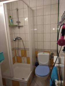 a small bathroom with a toilet and a shower at Hotelik Komandor in Władysławowo