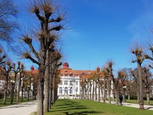 Zdjęcie z galerii obiektu Apartment Alice Center w Karlowych Warach
