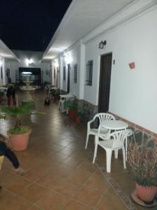 Fotografie z fotogalerie ubytování Hostal El Canario v destinaci Conil de la Frontera