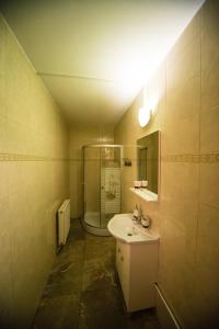 a bathroom with a sink and a shower and a toilet at Pensiunea Marcello in Iaşi