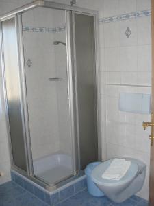 a bathroom with a shower and a toilet at Brandstättgut in Altenmarkt im Pongau +15 photos