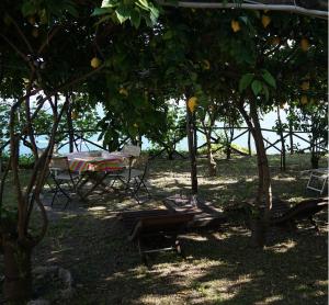Сад в Bella Baia Relais