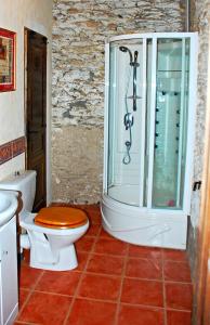 ein Bad mit einer Dusche, einem WC und einer Dusche in der Unterkunft Authentic Knight's Templar Chamber at Chateau Le Mur in Carentoir