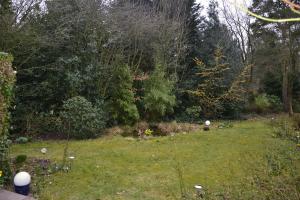 クックスハーフェンにあるFerienwohnung Hoylerの芝生の中に白玉が数個ある庭