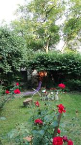 チェンストホヴァにあるBeautiful room with a soulの赤い花の庭園の鳥像