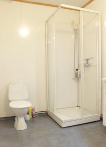 uma casa de banho com um WC e uma cabina de duche em vidro. em Live Lofoten Fishermen's Cabins em Stamsund