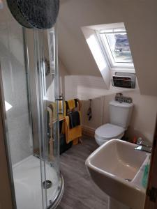 a bathroom with a shower and a toilet and a sink at "Balmoral View" in Ollach