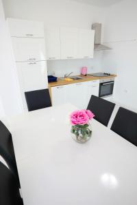 Kuchyňa alebo kuchynka v ubytovaní Apartmani Vlado Mitar