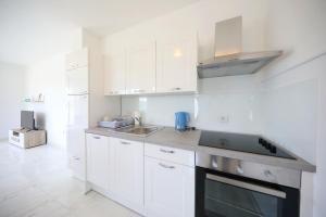 Kuchyňa alebo kuchynka v ubytovaní Apartmani Vlado Mitar
