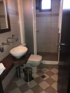 a bathroom with a toilet and a sink at Guesthouse Alkioni in Lithótopos