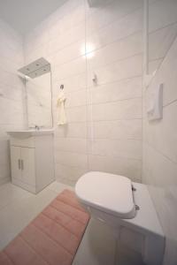 Kúpeľňa v ubytovaní Apartmani Vlado Mitar