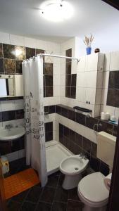ein Badezimmer mit Dusche, Toilette und Waschbecken in der Unterkunft Apartmani Laura in Trogir + 37 Fotos