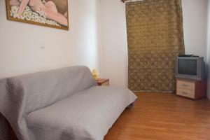 Televízia a/alebo spoločenská miestnosť v ubytovaní Apartments Boćin Rosso
