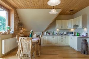 Kuchyňa alebo kuchynka v ubytovaní Apartament KROKUS