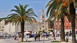 a group of palm trees in front of a building at Cvit Jadrana in Split