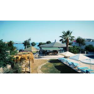 a group of lounge chairs and umbrellas at a resort at Gumbet Cove Hotel in Gümbet