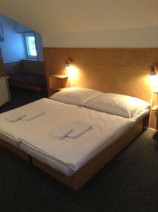 Gallery image of Penzion Globus in Český Krumlov