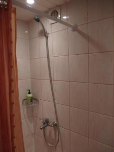 y baño con ducha con cabezal de ducha. en Namas en Klaipėda