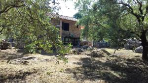 Fotografia z galérie ubytovania Robinson house Krunica v destinácii Pašman
