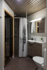 a bathroom with a shower and a toilet and a sink at Vasko luxurious suites, Nouka in Rovaniemi
