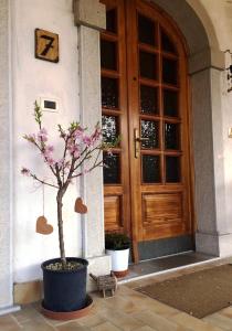 un árbol en una olla delante de una puerta en B&B Nella Terra di Mezzo, en Caporiacco