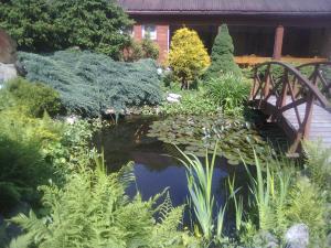 um jardim com uma ponte e um lago em Ośrodek Wczasowy "GRONOSTAJ" em Rajcza