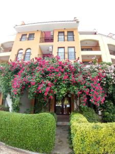 een gebouw met roze bloemen en struiken ervoor bij Marina Cape Vacation Complex in Ravda