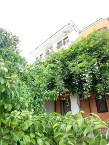 a building with a lot of trees in front of it at Marina Cape Vacation Complex in Ravda